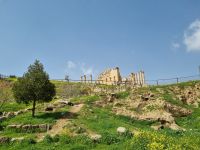 Jerash &ndash; &copy; Katrin Deutschbein (Eberhardt TRAVEL)