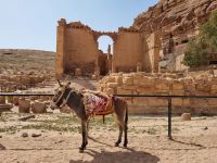 Petra - 