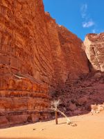 Wadi Rum -Khazali-Schlucht &ndash; &copy; Katrin Deutschbein (Eberhardt TRAVEL)