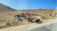 Rundreise Jordanien 