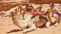 Rundreise Jordanien - Jeep-Safari im Wadi Rum &ndash; &copy; Franziska Bergmann (Eberhardt TRAVEL)