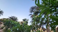 Rundreise Jordanien - Aqaba &ndash; &copy; Franziska Bergmann (Eberhardt TRAVEL)