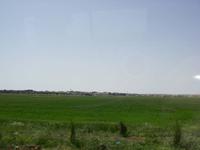 Weizenfelder &ndash; &copy; Nadine Schulz (Eberhardt TRAVEL)