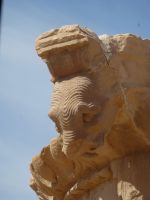 … und jeder ein Individuum. &ndash; &copy; Vivian Kreft (Eberhardt TRAVEL)