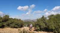 Jordanien, Naturreservat Ajloun &ndash; &copy; Ria Heilmann (Eberhardt TRAVEL)