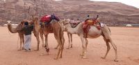 Neujahrsausritt &ndash; &copy; Julia Kies (Eberhardt TRAVEL)