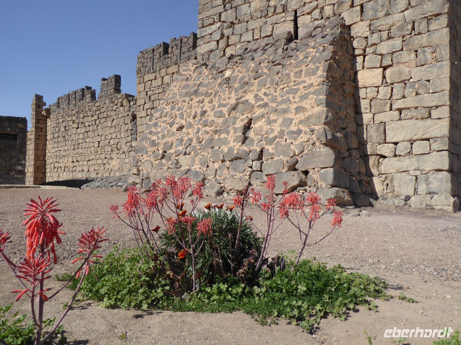 Tag 2 11.03.2023 Qausir Azraq &ndash; &copy; Gabriele Sauer (Eberhardt TRAVEL)