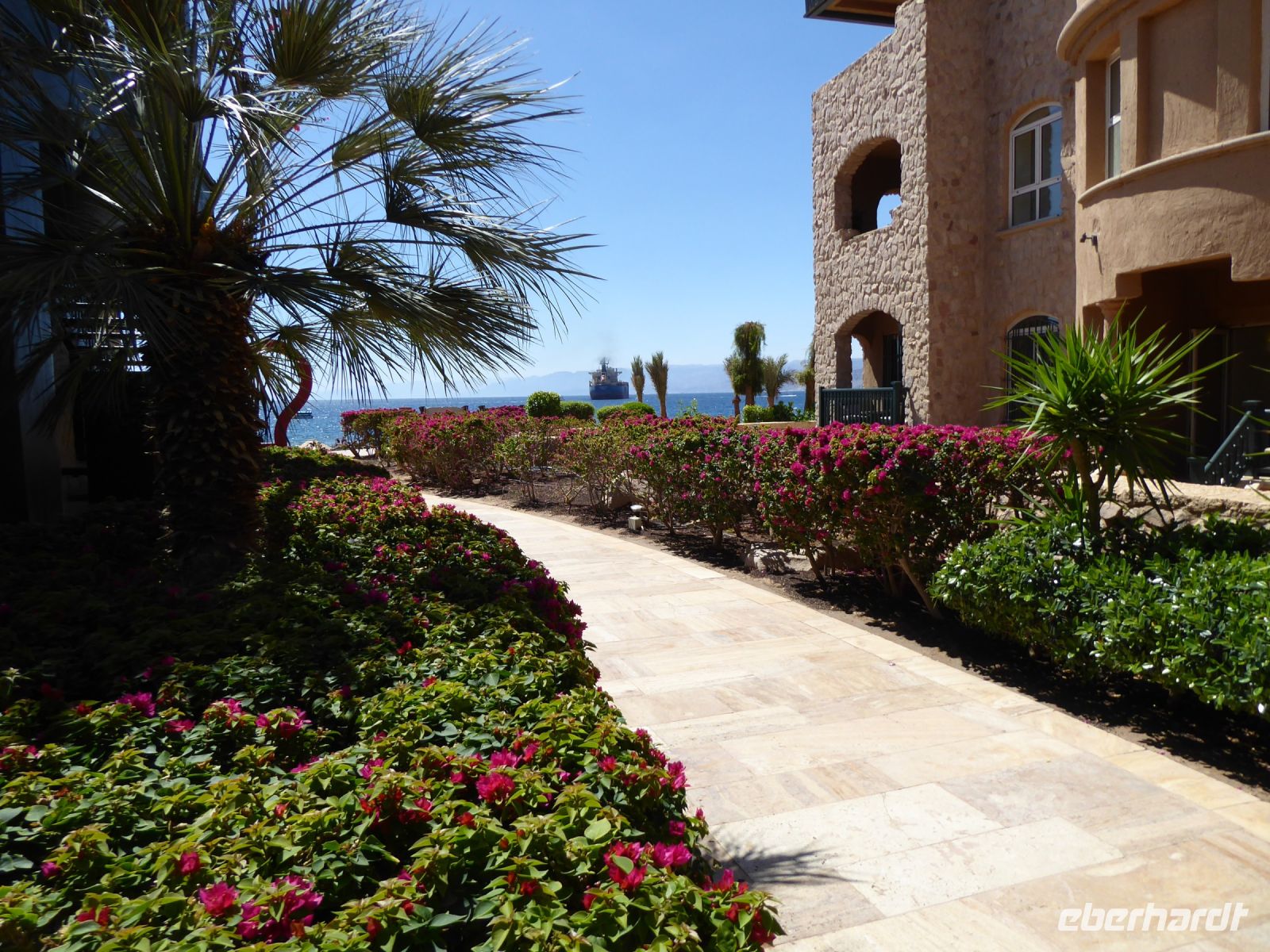 Tag 7 16.03.2023  Aqaba  &ndash; &copy; Gabriele Sauer (Eberhardt TRAVEL)