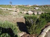 Tag 2 11.03.2023 Amman, Citadelle &ndash; &copy; Gabriele Sauer (Eberhardt TRAVEL)