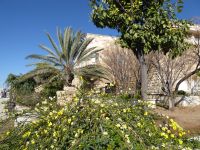 Tag 2 11.03.2023 Amman, Citadelle &ndash; &copy; Gabriele Sauer (Eberhardt TRAVEL)