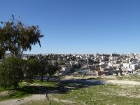 Tag 2 11.03.2023 Amman, Citadelle &ndash; &copy; Gabriele Sauer (Eberhardt TRAVEL)