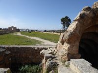Tag 3 12.03.2023 Jerash  &ndash; &copy; Gabriele Sauer (Eberhardt TRAVEL)