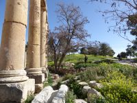 Tag 3 12.03.2023 Jerash &ndash; &copy; Gabriele Sauer (Eberhardt TRAVEL)