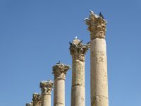 Tag 3 12.03.2023 Jerash  &ndash; &copy; Gabriele Sauer (Eberhardt TRAVEL)