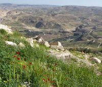 Tag 4 13.03.2023 Berg Nebo  &ndash; &copy; Gabriele Sauer (Eberhardt TRAVEL)