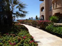 Tag 7 16.03.2023  Aqaba  &ndash; &copy; Gabriele Sauer (Eberhardt TRAVEL)