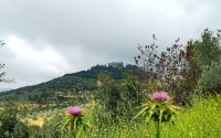 Blick auf die Festung von Aljun &ndash; &copy; Simone Willner (Eberhardt TRAVEL)