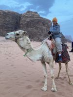 hoch zu Dromedar &ndash; &copy; Roswitha Zytowski (Eberhardt TRAVEL)