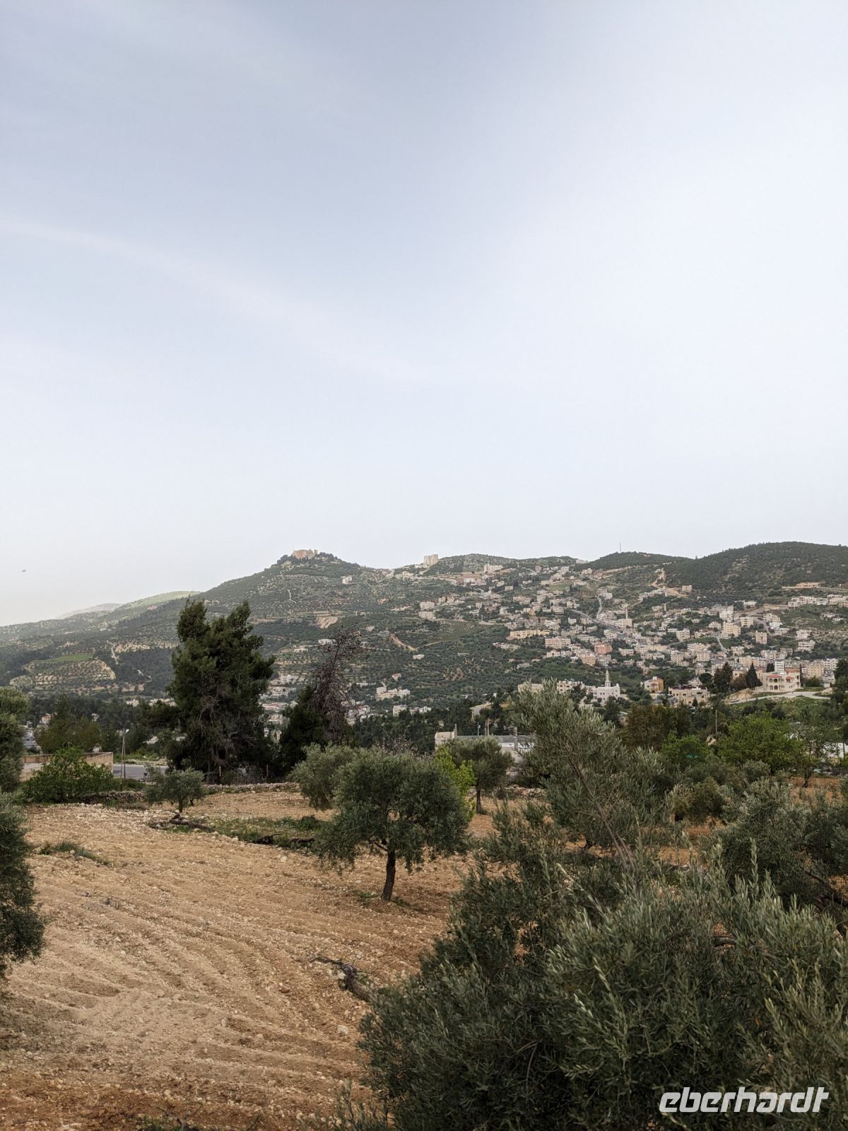 12. Fotostopp Festung von Ajlun hoch oben auf dem Berg &ndash; &copy; Teresa Rumpel (Eberhardt TRAVEL)