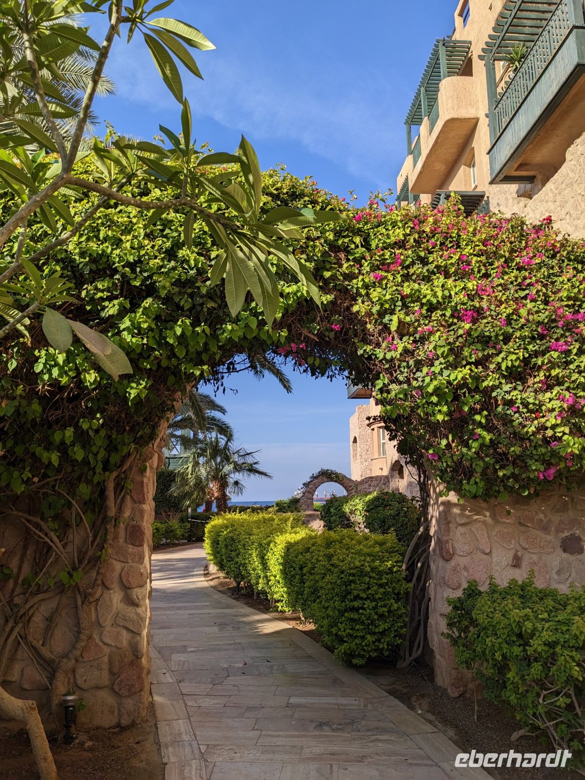 36.1 Hotelanlage Mövenpick Resort & Residences Aqaba &ndash; &copy; Teresa Rumpel (Eberhardt TRAVEL)