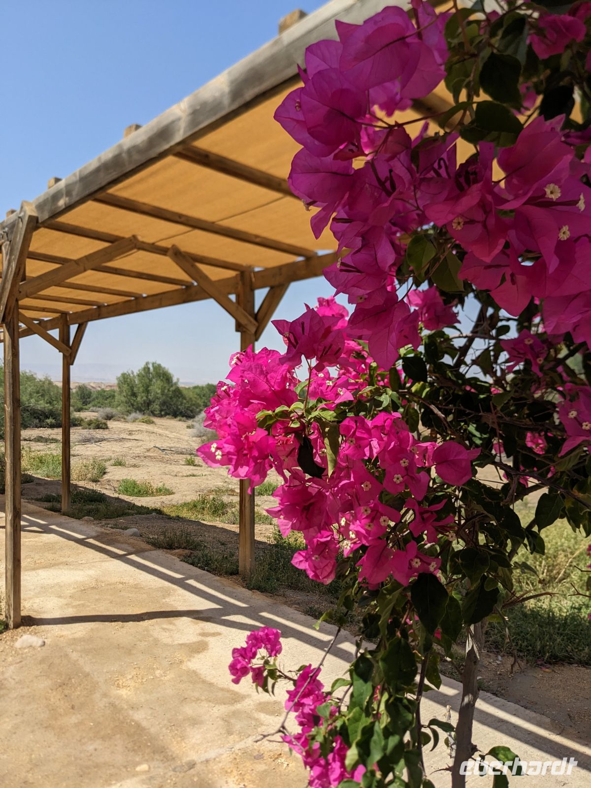 39. Besuch der Taufstelle von Jesus &ndash; &copy; Teresa Rumpel (Eberhardt TRAVEL)