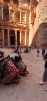 Kamele müssen den ganzen Tag hier ausharren &ndash; &copy; Ria Heilmann (Eberhardt TRAVEL)