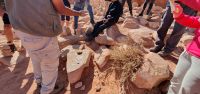 Hussein macht aus den Kügelchen der Pflanze vermischt mit Wasser eine gute Seife &ndash; &copy; Ria Heilmann (Eberhardt TRAVEL)