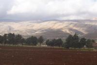 in der Beqaa-Ebene