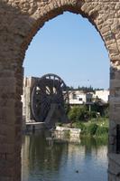 Norias in Hama