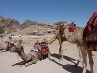 In Petra &ndash; &copy; Isabel Braksiek (Eberhardt TRAVEL)