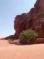 Im Wadi Rum &ndash; &copy; Isabel Braksiek (Eberhardt TRAVEL)