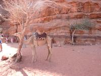 Im Wadi Rum &ndash; &copy; Isabel Braksiek (Eberhardt TRAVEL)