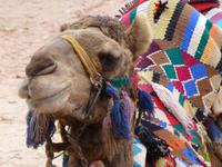 Petra &ndash; &copy; Ralf Kuchenbecker (Eberhardt TRAVEL)