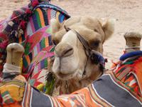 Petra &ndash; &copy; Ralf Kuchenbecker (Eberhardt TRAVEL)