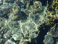 Aqaba &ndash; &copy; Ralf Kuchenbecker (Eberhardt TRAVEL)