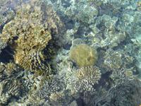 Aqaba &ndash; &copy; Ralf Kuchenbecker (Eberhardt TRAVEL)