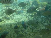 Aqaba &ndash; &copy; Ralf Kuchenbecker (Eberhardt TRAVEL)