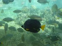 Aqaba &ndash; &copy; Ralf Kuchenbecker (Eberhardt TRAVEL)