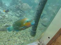 Aqaba &ndash; &copy; Ralf Kuchenbecker (Eberhardt TRAVEL)