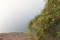 Am Toten Meer &ndash; &copy; Alice Teipelke (Eberhardt TRAVEL)