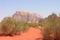 Wadi Rum &ndash; &copy; Alice Teipelke (Eberhardt TRAVEL)