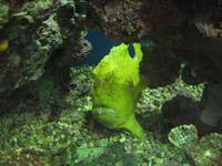 Aqaba &ndash; &copy; Ralf Kuchenbecker (Eberhardt TRAVEL)