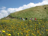 Beit Shean &ndash; &copy; Ralf Kuchenbecker (Eberhardt TRAVEL)