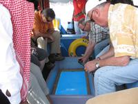 Aqaba &ndash; &copy; Ralf Kuchenbecker (Eberhardt TRAVEL)