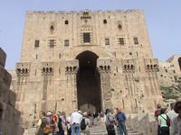Zurück in Aleppo