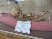 Amman: Archäologisches Museum &ndash; &copy; Britt Reuter-Bracklow (Eberhardt TRAVEL)