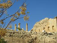 Jerash &ndash; &copy; Britt Reuter-Bracklow (Eberhardt TRAVEL)