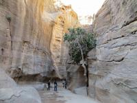 Petra &ndash; &copy; Britt Reuter-Bracklow (Eberhardt TRAVEL)