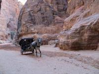 Petra &ndash; &copy; Britt Reuter-Bracklow (Eberhardt TRAVEL)