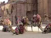 Petra &ndash; &copy; Britt Reuter-Bracklow (Eberhardt TRAVEL)